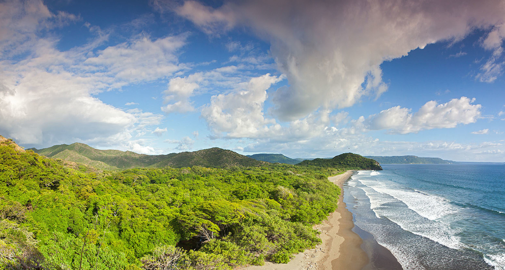 Guanacaste´s Tropical Dry Forest. Image by GDFCF