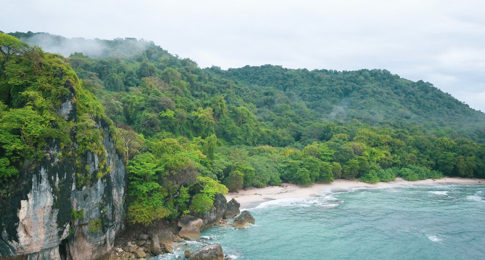 Why visit Costa Rica in the Wet Season